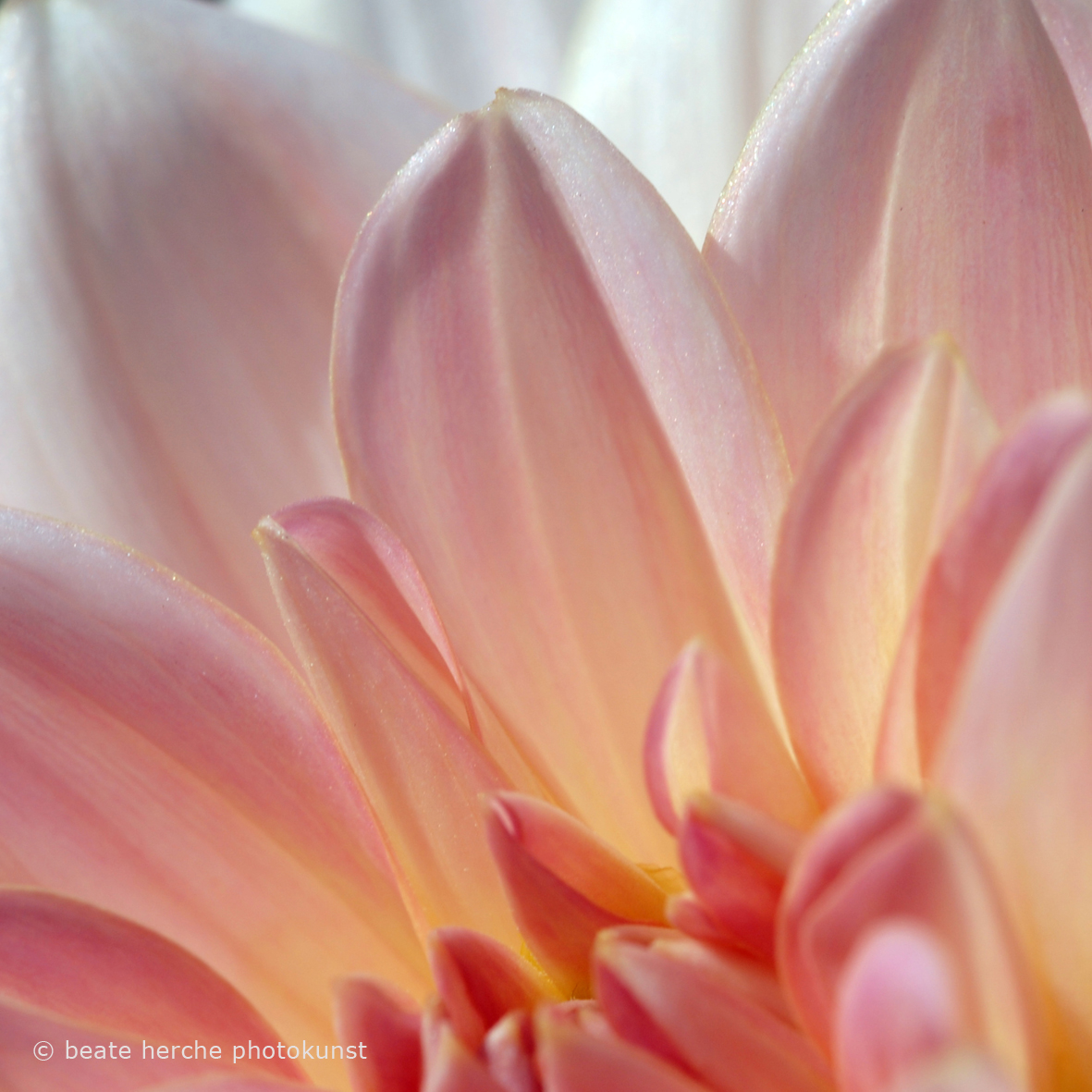 20070805 147quadrat01