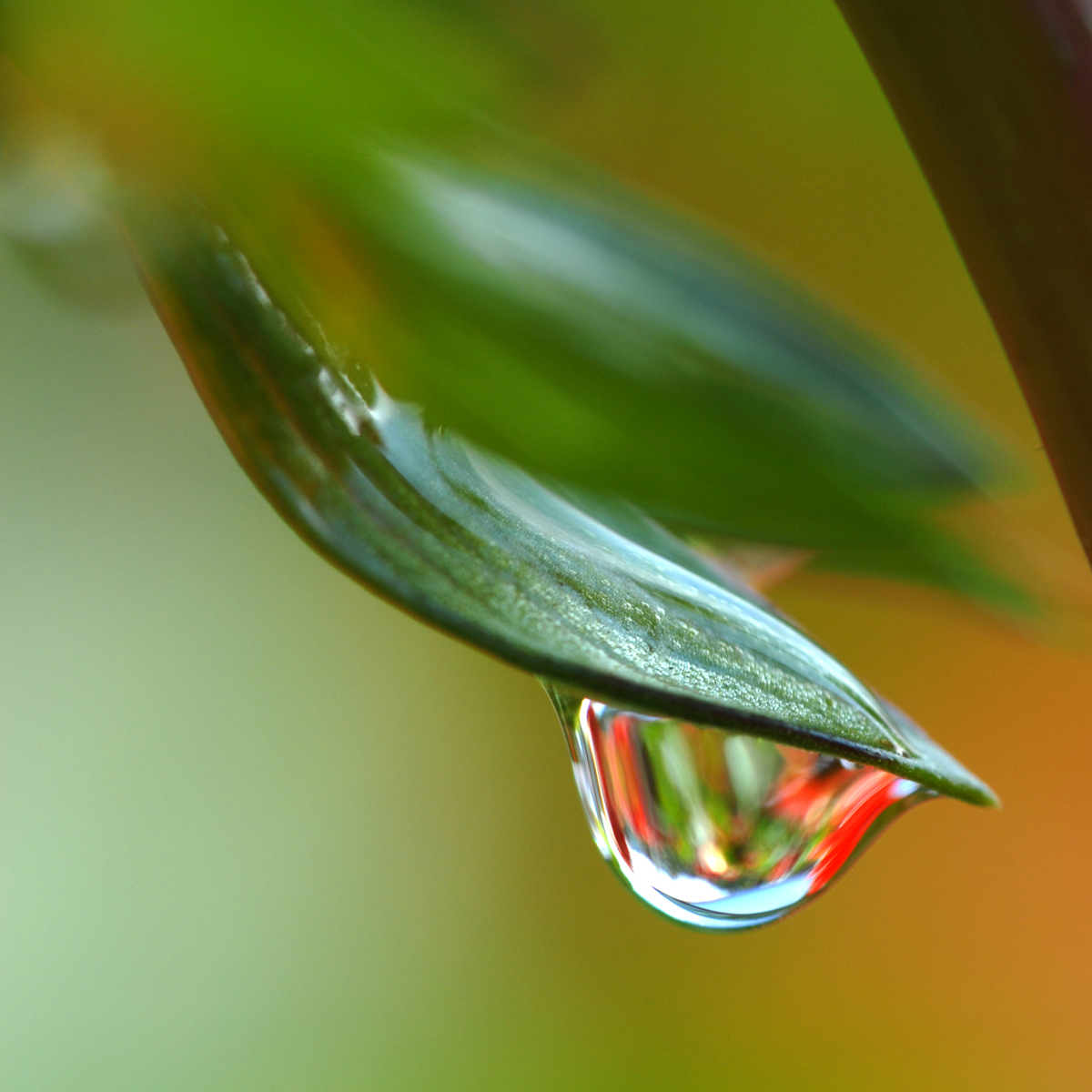 20081003 073 quadrat v01 für website