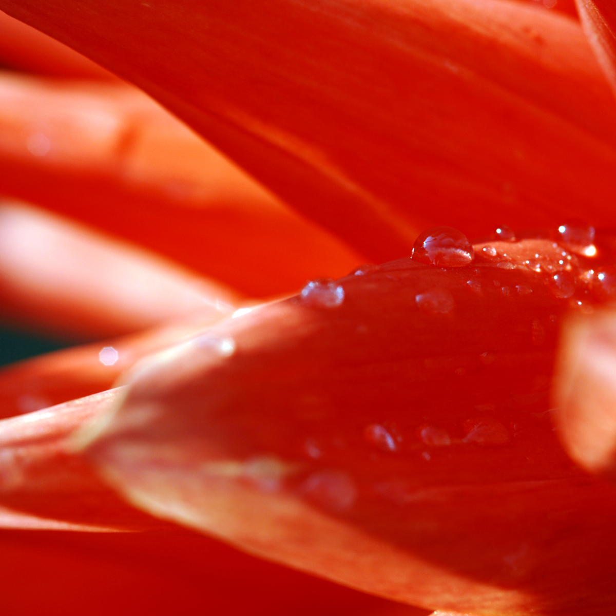 20081003 078 quadrat v02 für website