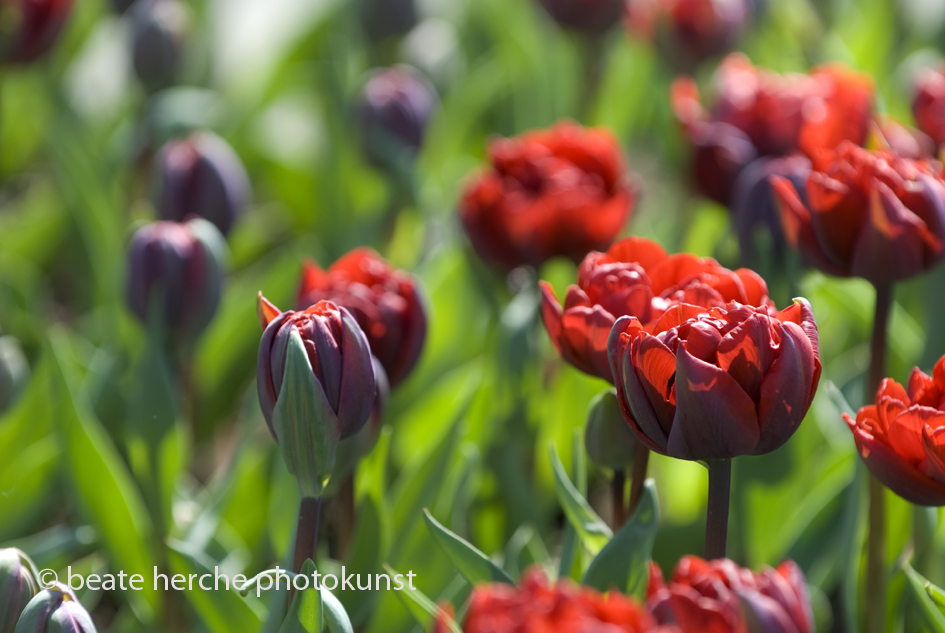 2010 04 23 077 Kopie