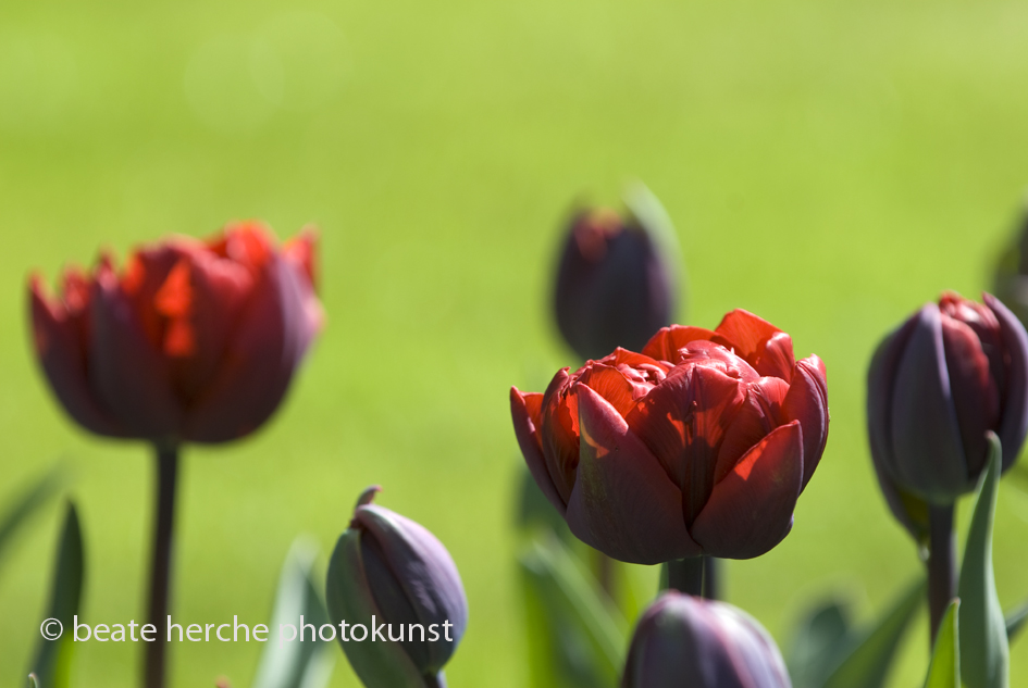 2010 04 23 080 Kopie