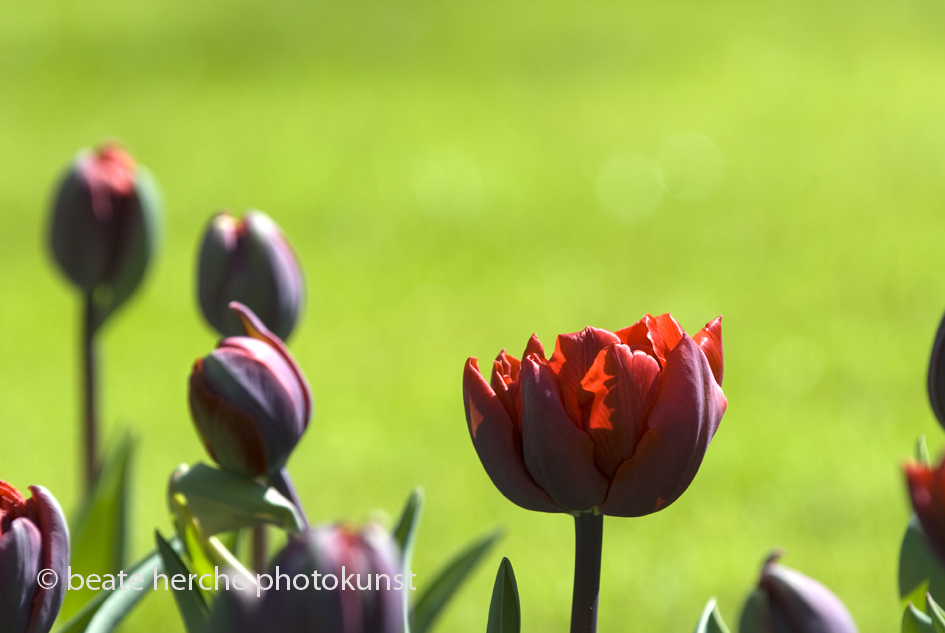 2010 04 23 081 Kopie