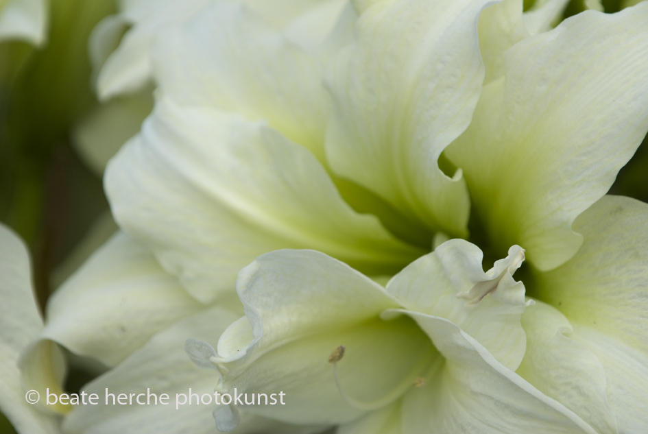 2010 04 23 1050 Kopie