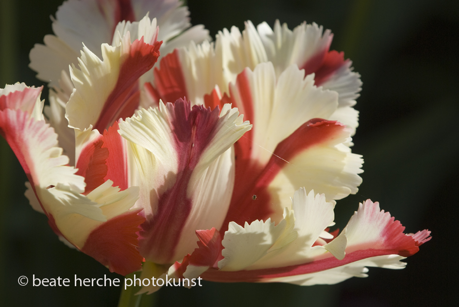 2010 04 23 1129 Kopie