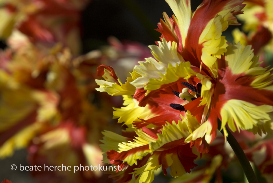 2010 04 23 1141 Kopie