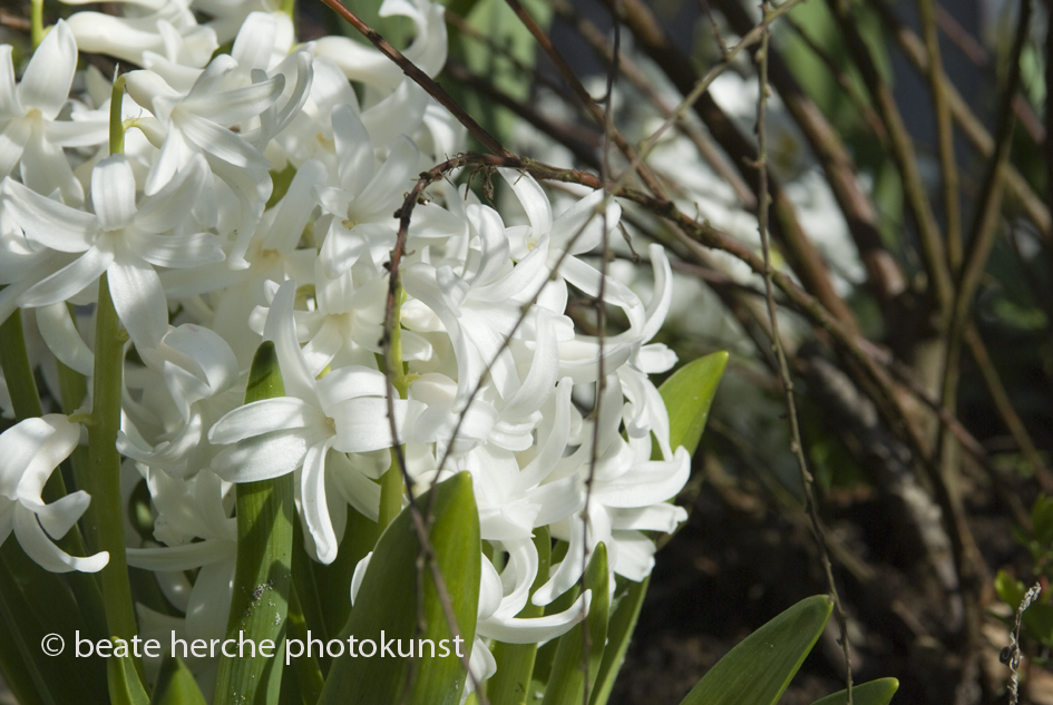 2010 04 23 1290 Kopie