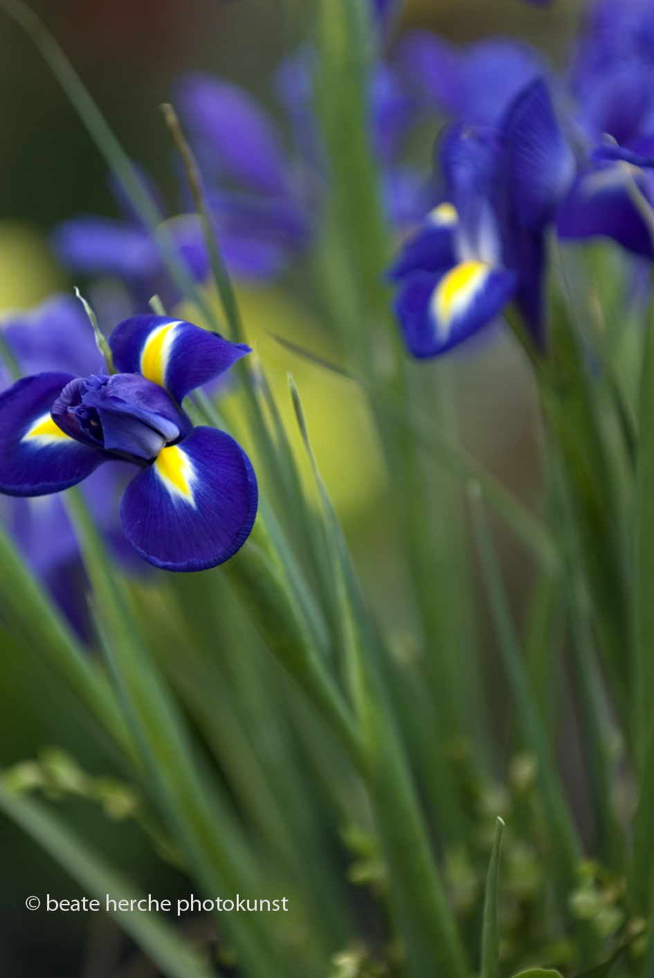 2010 04 23 1404 hoch Kopie