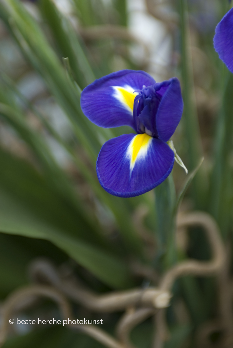 2010 04 23 1445 hoch Kopie