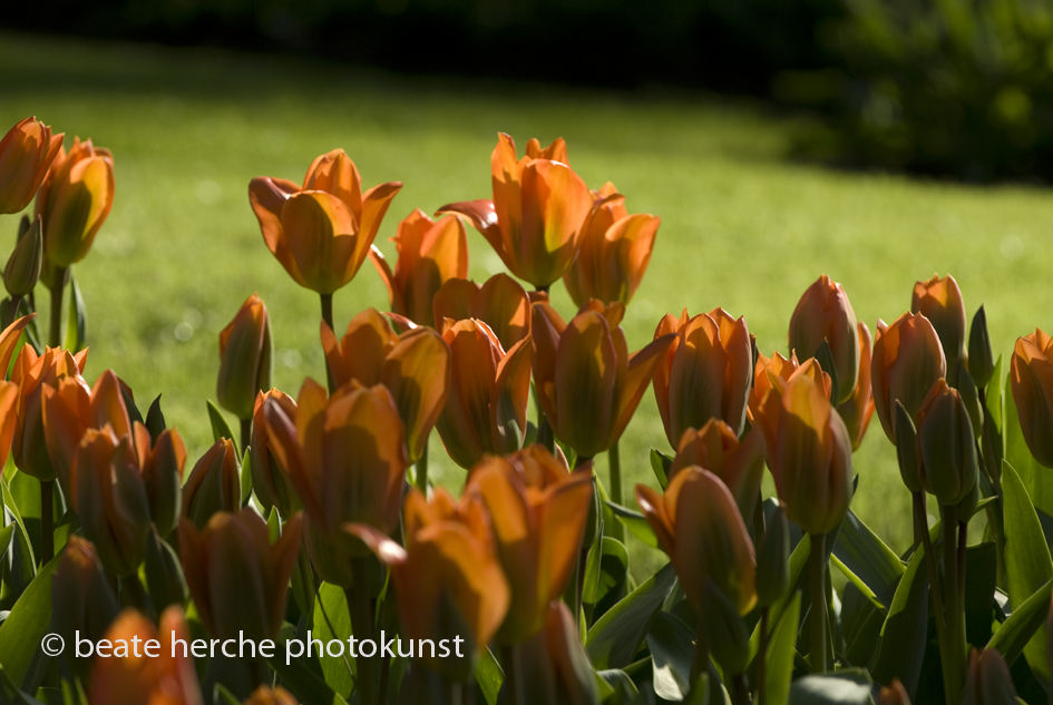 2010 04 23 1531 Kopie