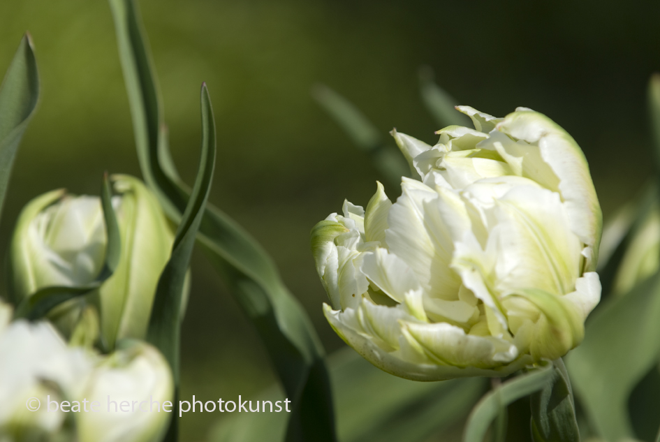 2010 04 23 179 Kopie