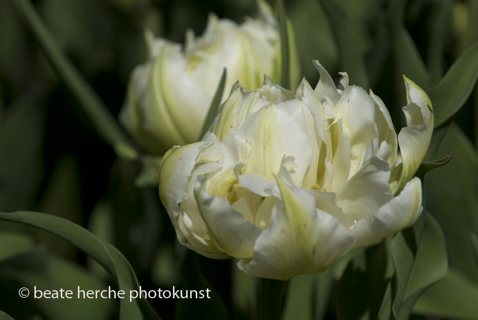 2010 04 23 181 Kopie