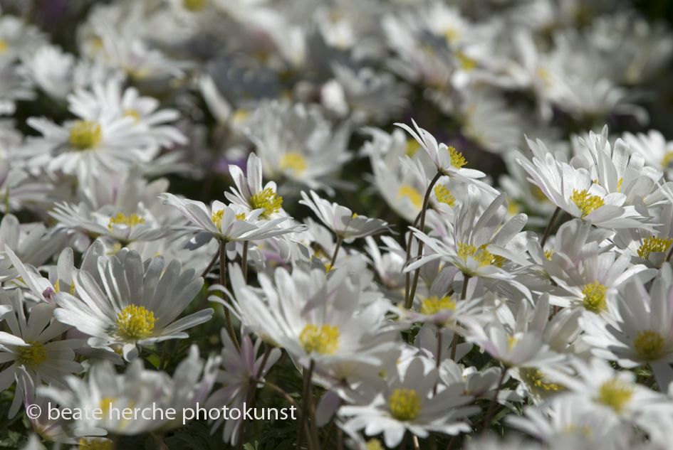 2010 04 23 193 Kopie