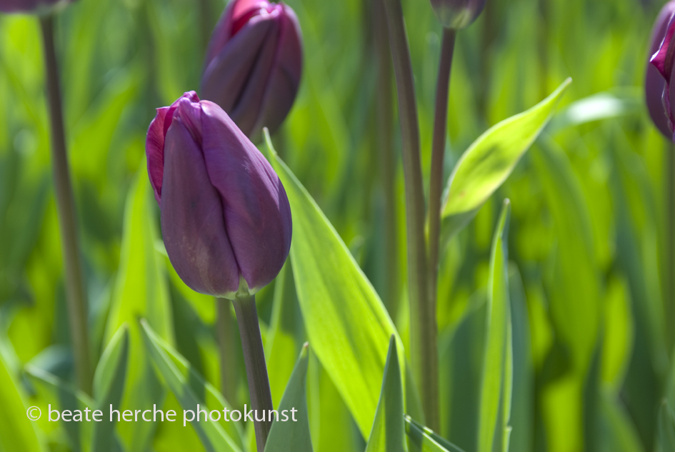 2010 04 23 261 Kopie