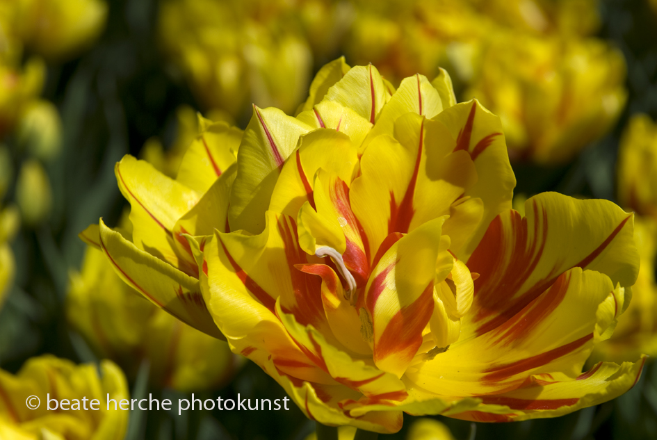 2010 04 23 367 Kopie