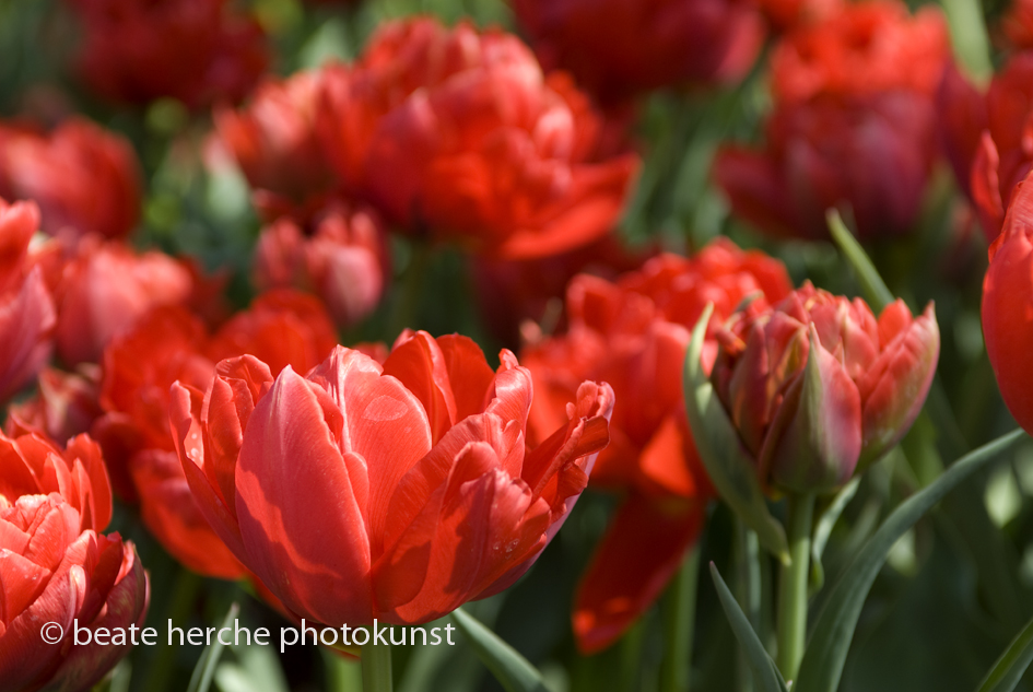 2010 04 23 379 Kopie