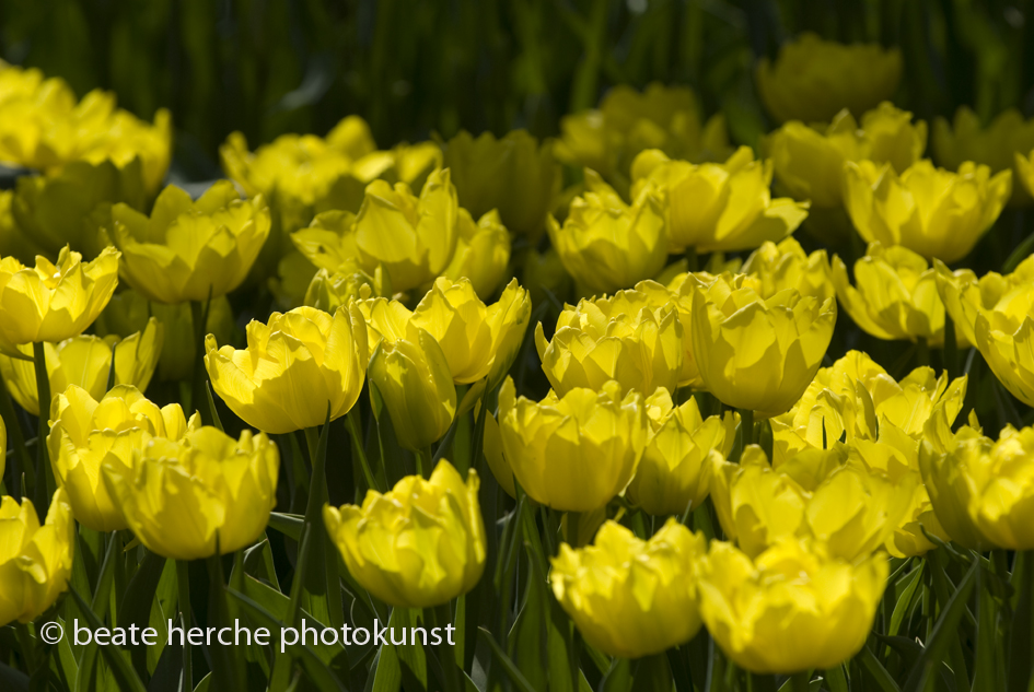 2010 04 23 452 Kopie