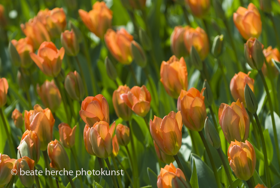 2010 04 23 516 Kopie