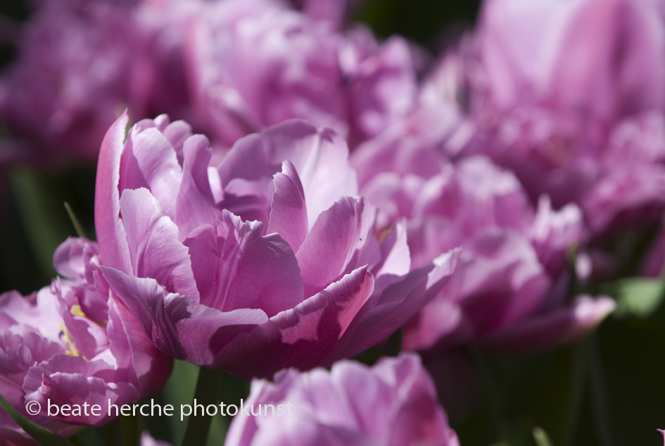 2010 04 23 573 Kopie