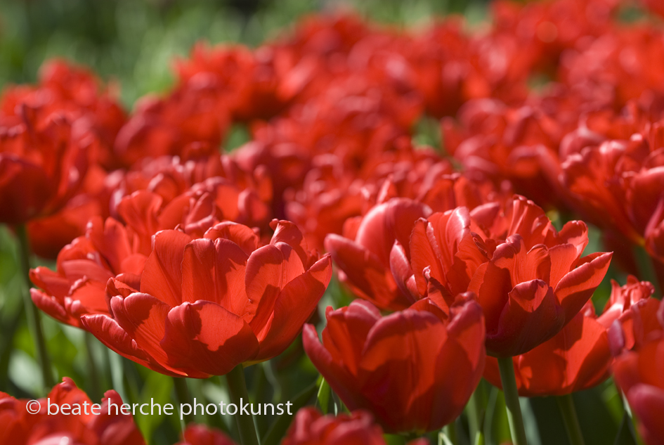 2010 04 23 605 Kopie