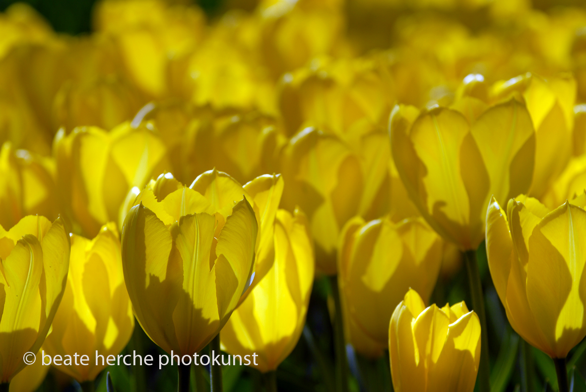 2010 04 23 671 Kopie