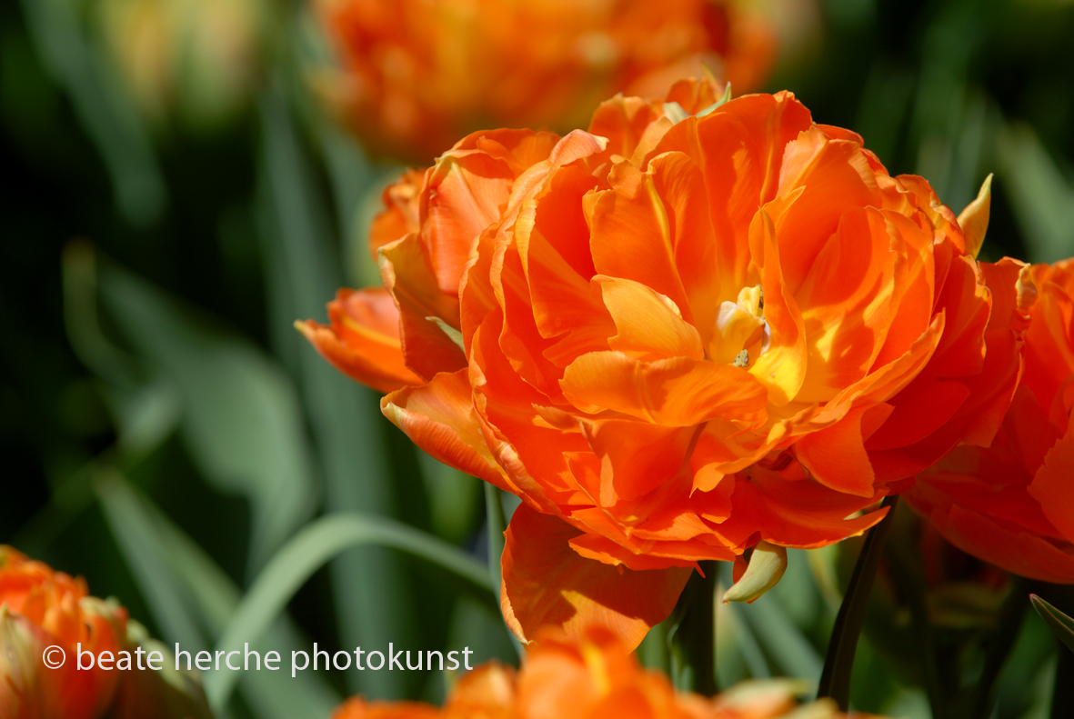 2010 04 23 680 Kopie