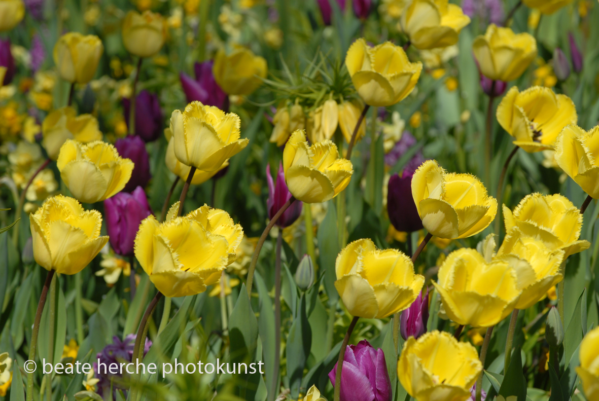 2010 04 23 695 Kopie