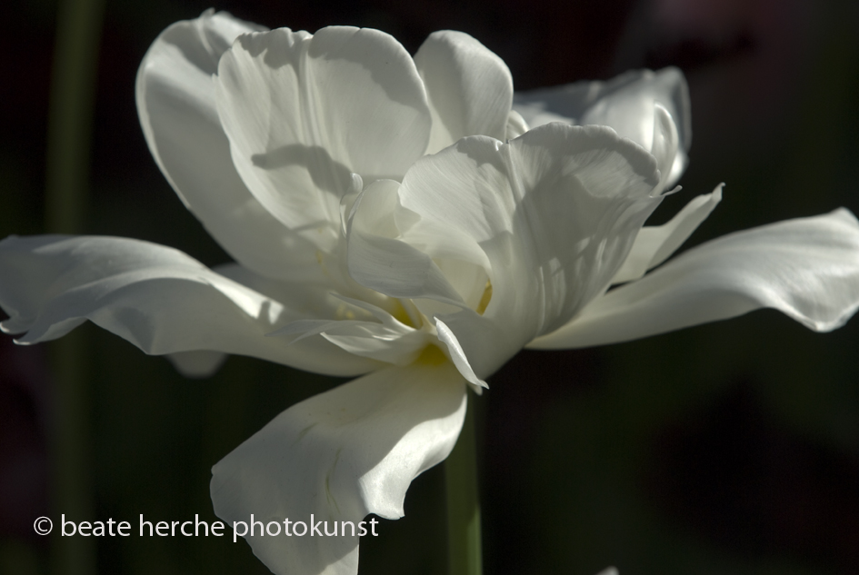 2010 04 23 727 Kopie