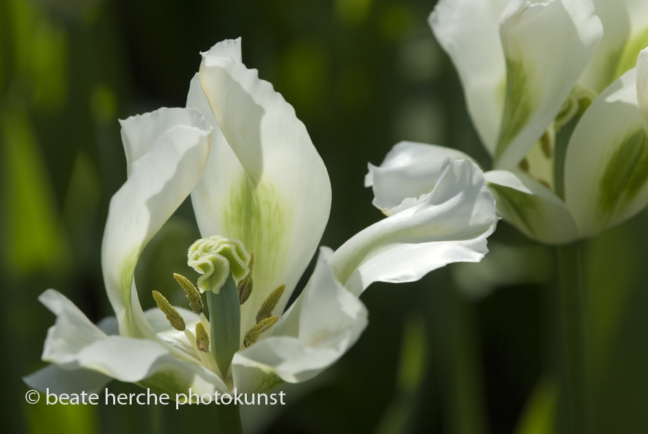 2010 04 23 742 Kopie