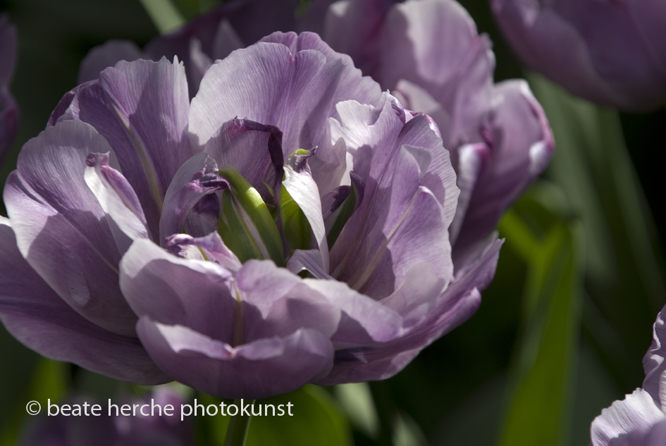 2010 04 23 750 Kopie