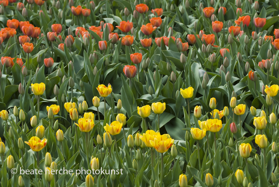 2010 04 25 225 Kopie