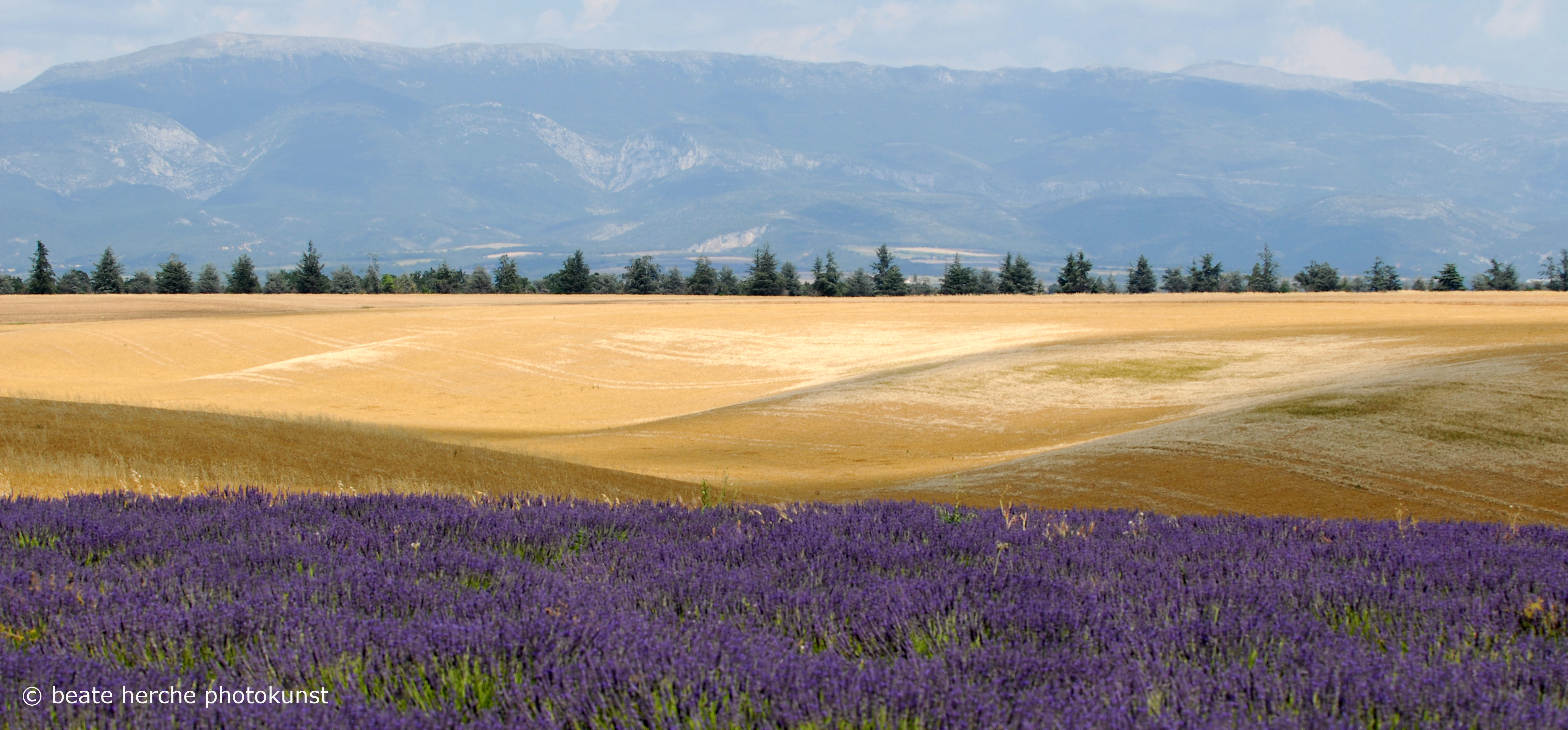 080711 097 In 120 X 55